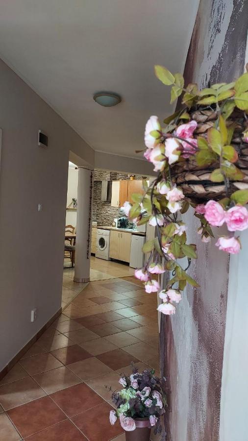 Kara Apartman Odorheiu Secuiesc Exteriér fotografie